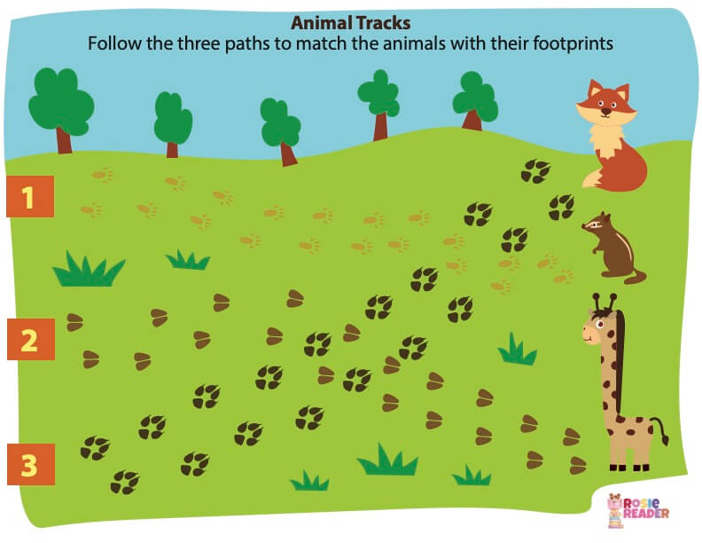 Animal Tracks Activity - Reading adventures for kids ages 3 to 5