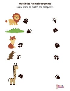 Match Animal Footprints - Reading adventures for kids ages 3 to 5