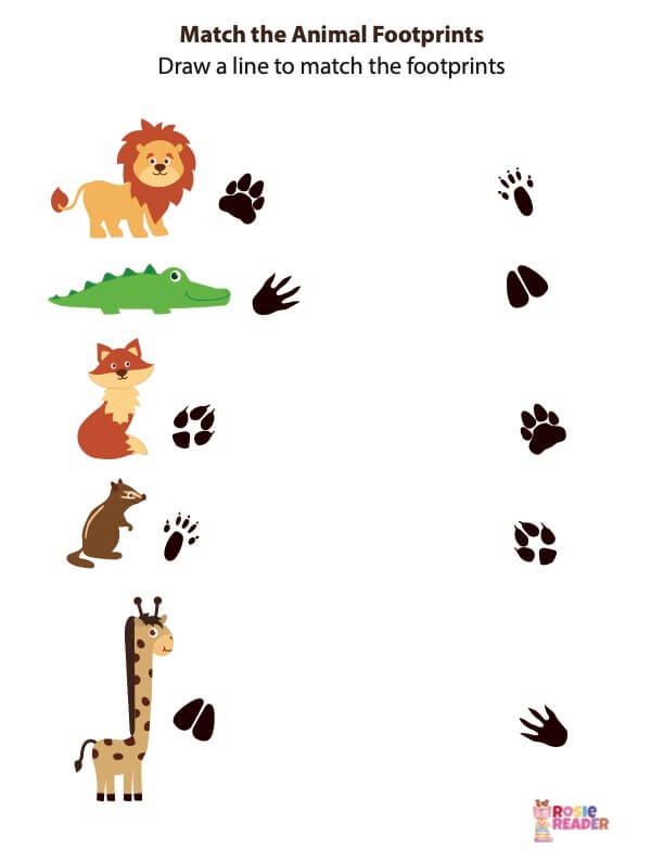 Match Animal Footprints - Reading adventures for kids ages 3 to 5