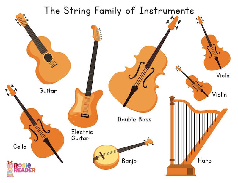 String Instruments list
