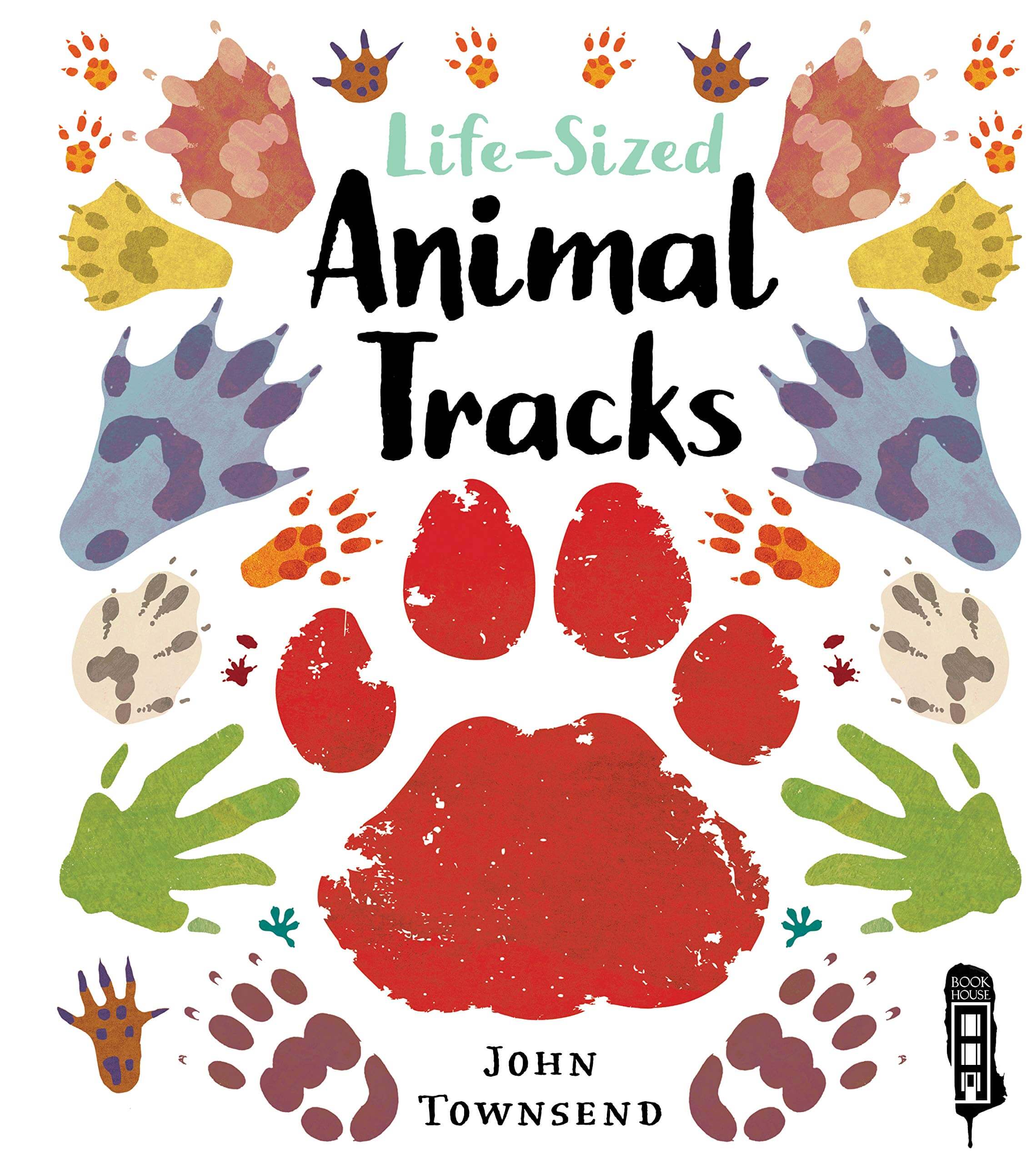 animal tracks children's book